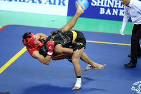 تکنیک‌های ووشو